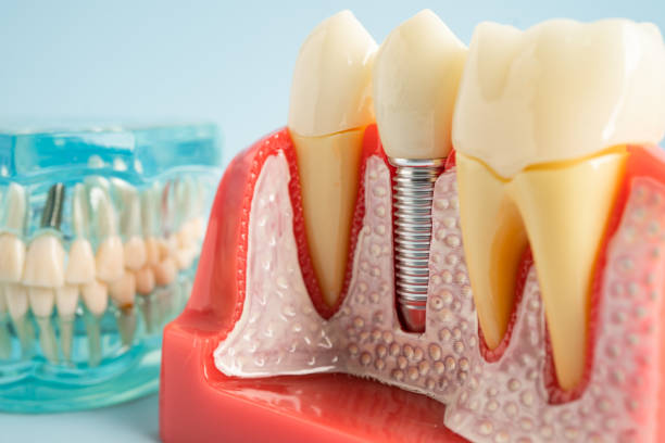 Best General Dentistry  in Shelter Island Heights, NY